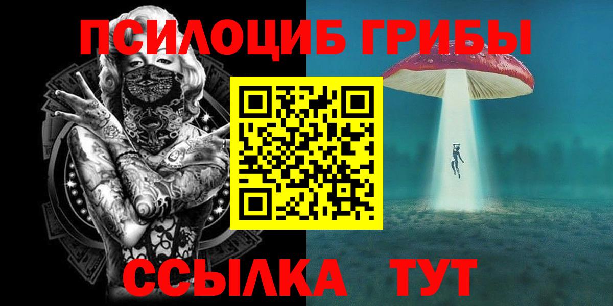Псилоцибиновые грибы мицелий Октябрьский